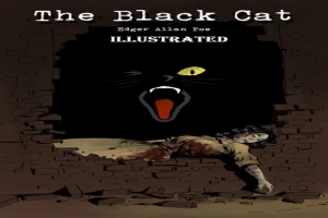 the black cat